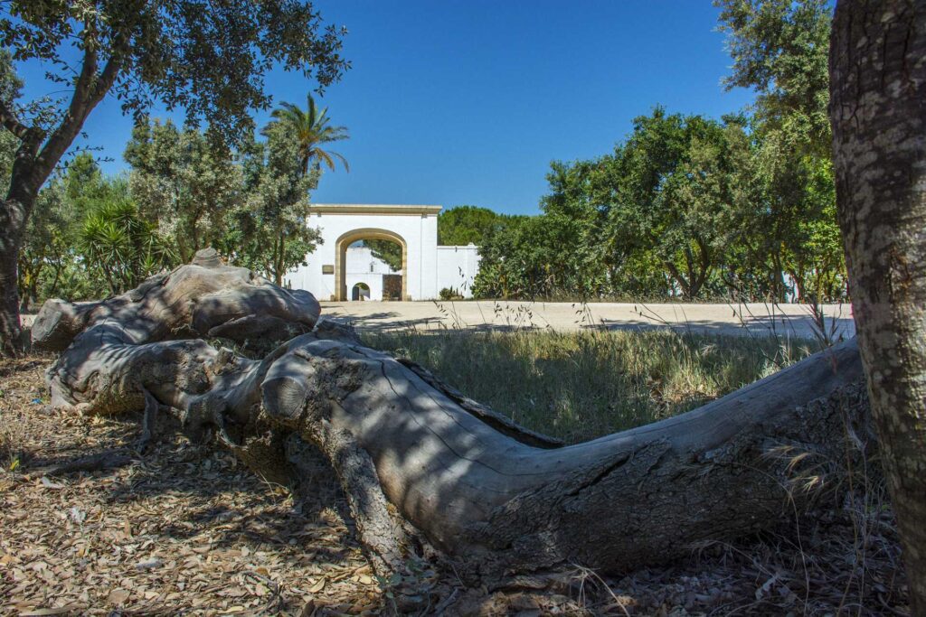 La Masseria - Masseria Tenute Bellamarina - 1